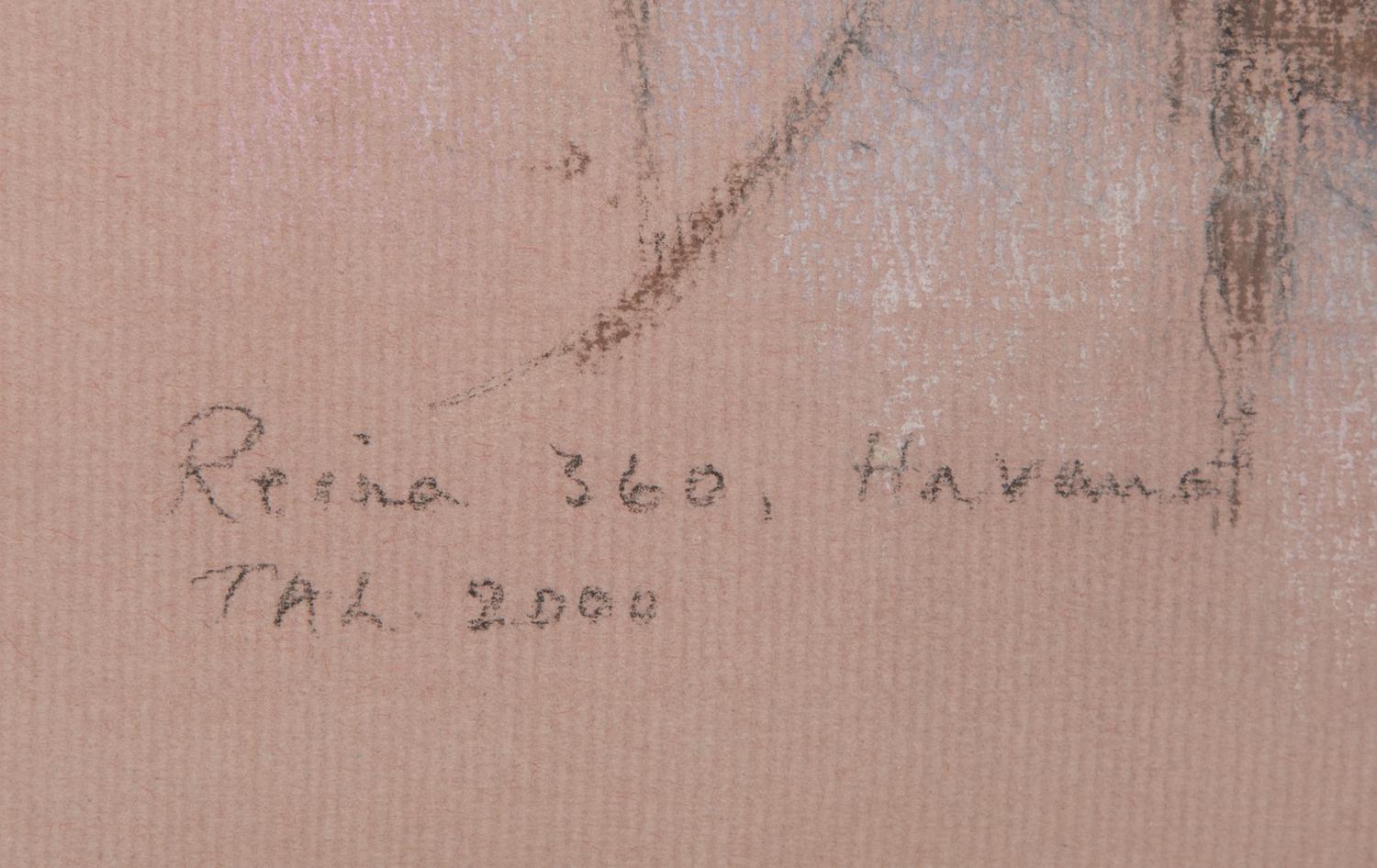 #8 Reina 360, Havana 2000 , and #11 Reina 360, Havana 2000 (a pair)