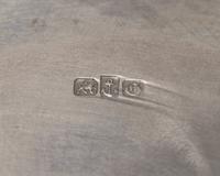 A Rare and Monumental Sterling Silver Japonesque Punch Bowl