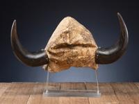 Plains Buffalo Horn Headdress, From a Midwest Collection