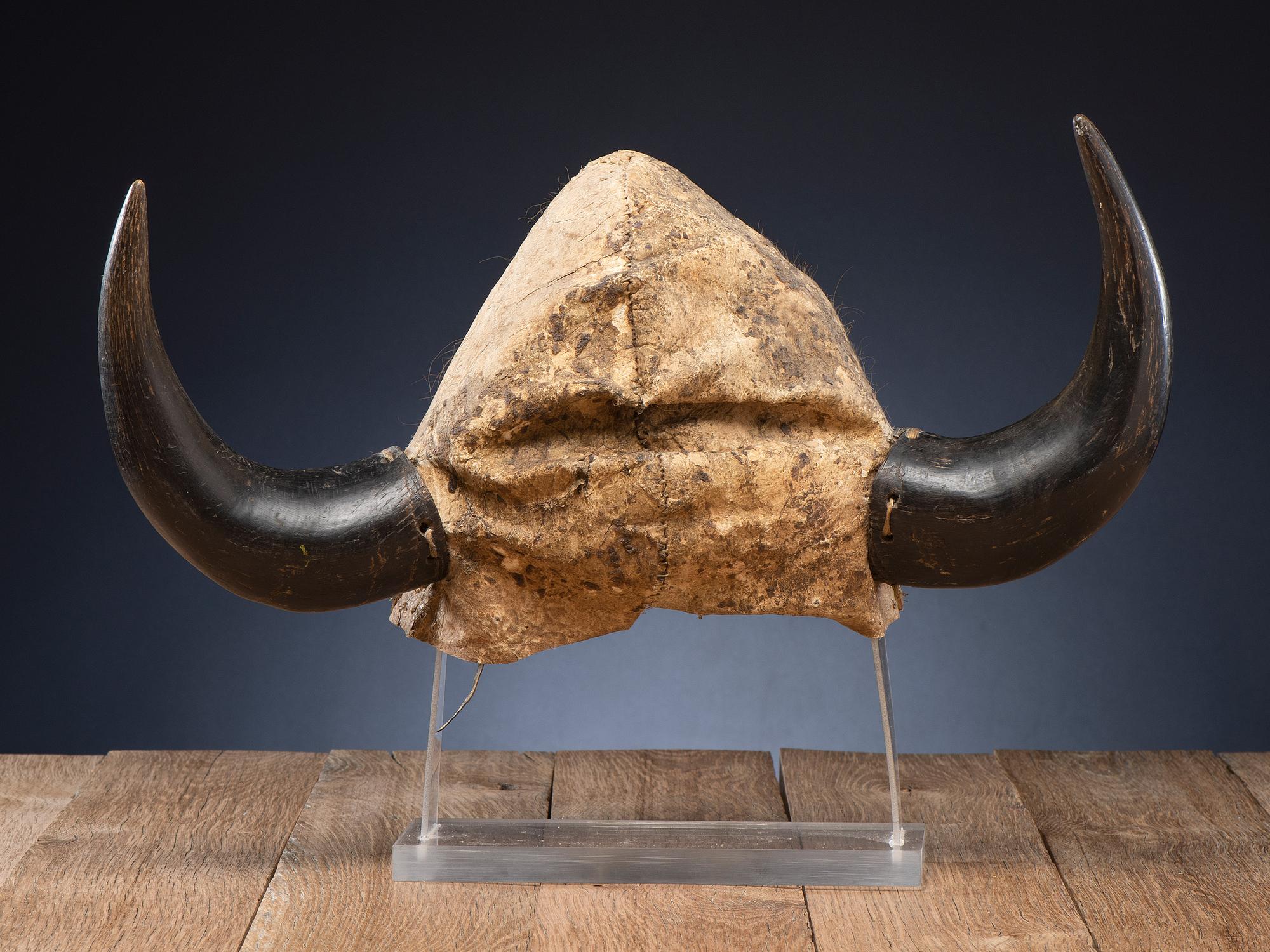 Plains Buffalo Horn Headdress, From a Midwest Collection