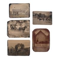 [Early Photography] Group of 8 Outdoor Ambrotypes and Tintypes