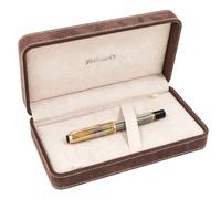 A Pelikan Piazza Navona Special Edition Fountain Pen