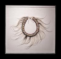 A Group of Four Amazonian Shell Belts or Headdresses