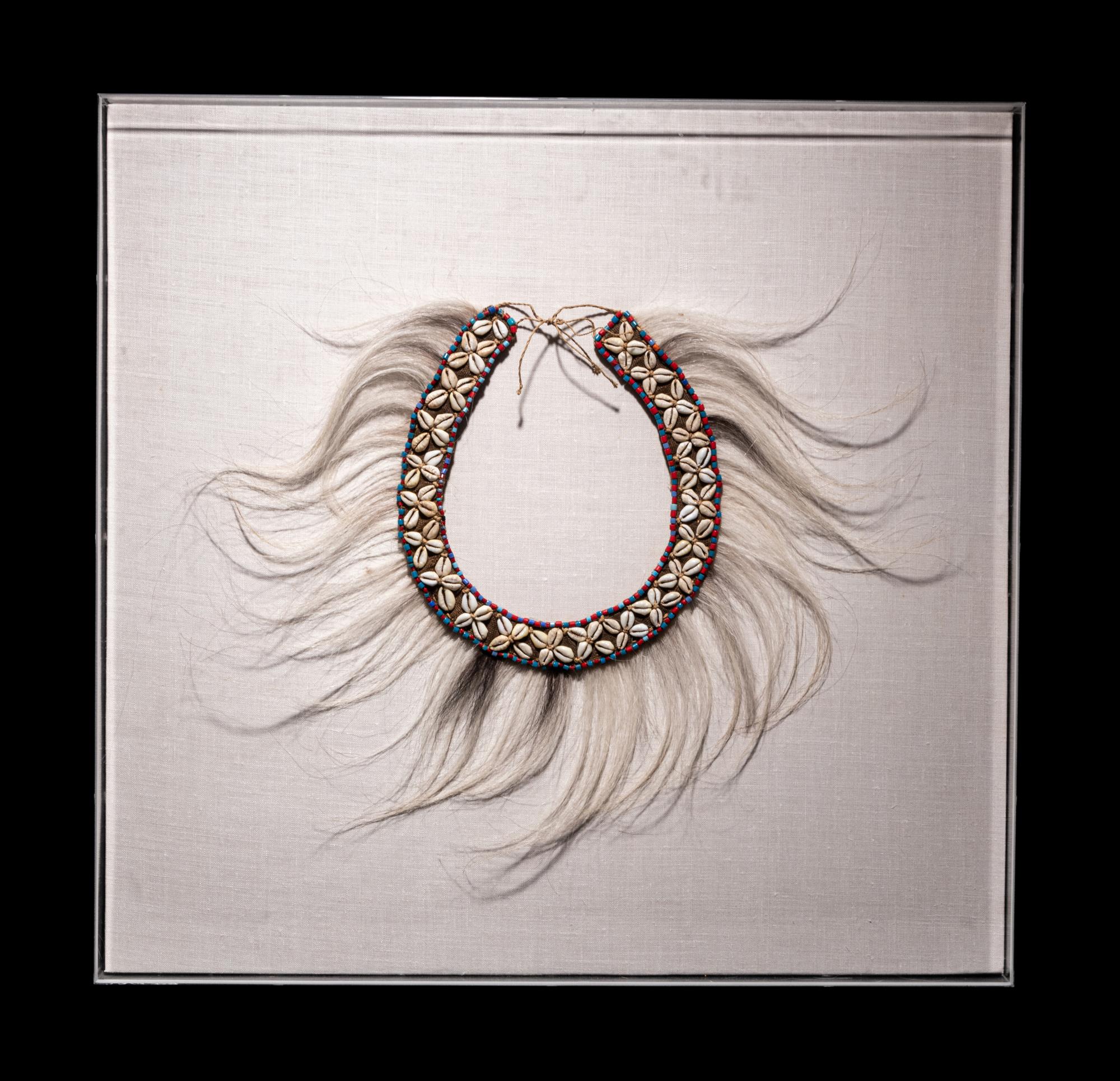 A Group of Four Amazonian Shell Belts or Headdresses