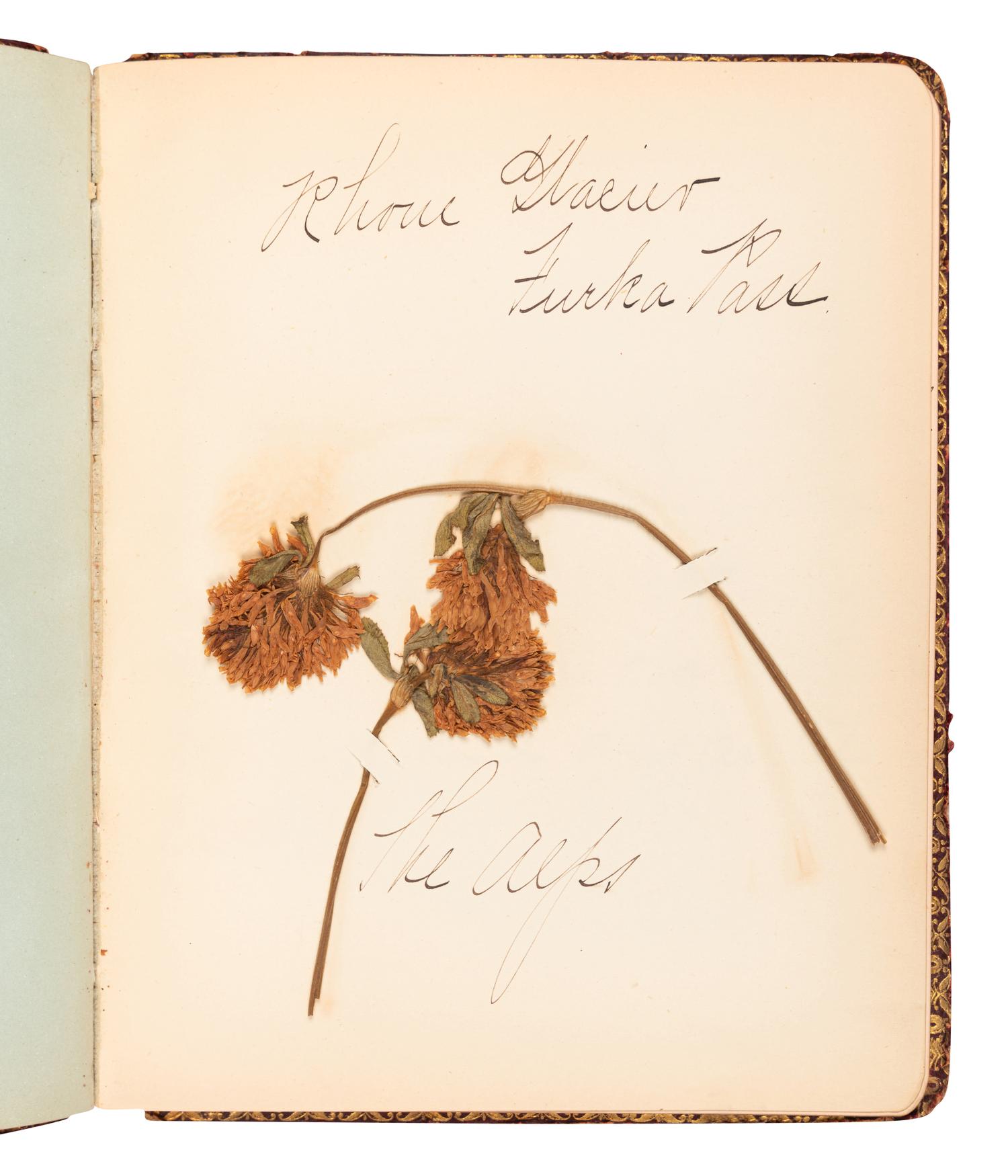 [SPECIMEN ALBUMS]. A group of 3 specimen albums with samples collected from The Holy Land, Greece and Southern Italy Great Britain, Denmark, Switzerland, Germany and France; and Egypt and Palestine. Ca 1890s.