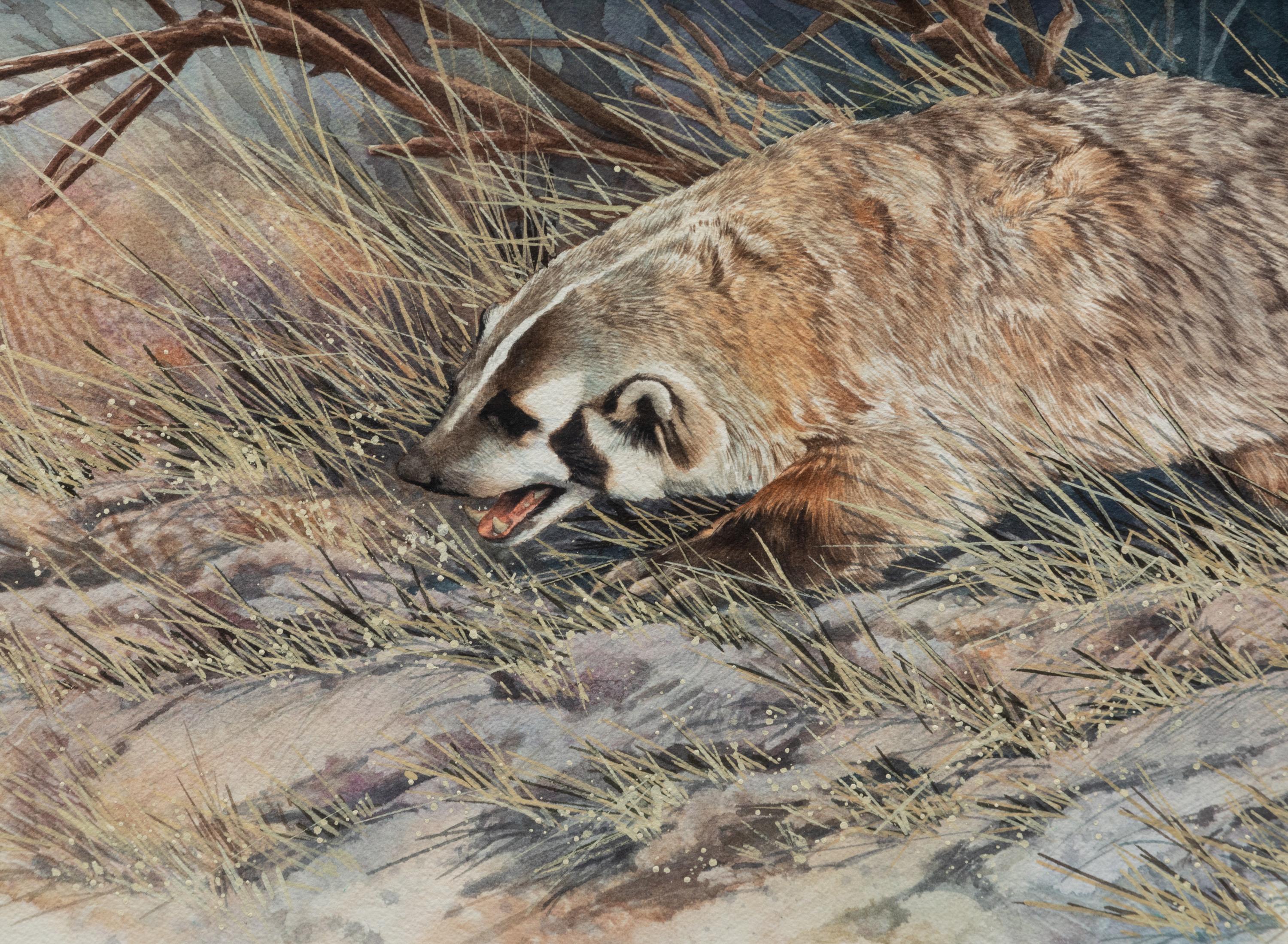 Badger