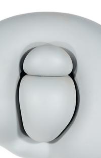 Biomorphic Wall Sculpture