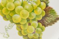 A Set of Thirteen Royal Copenhagen Fruit Service Articles