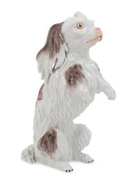 A Dresden Porcelain Bolognese Hound