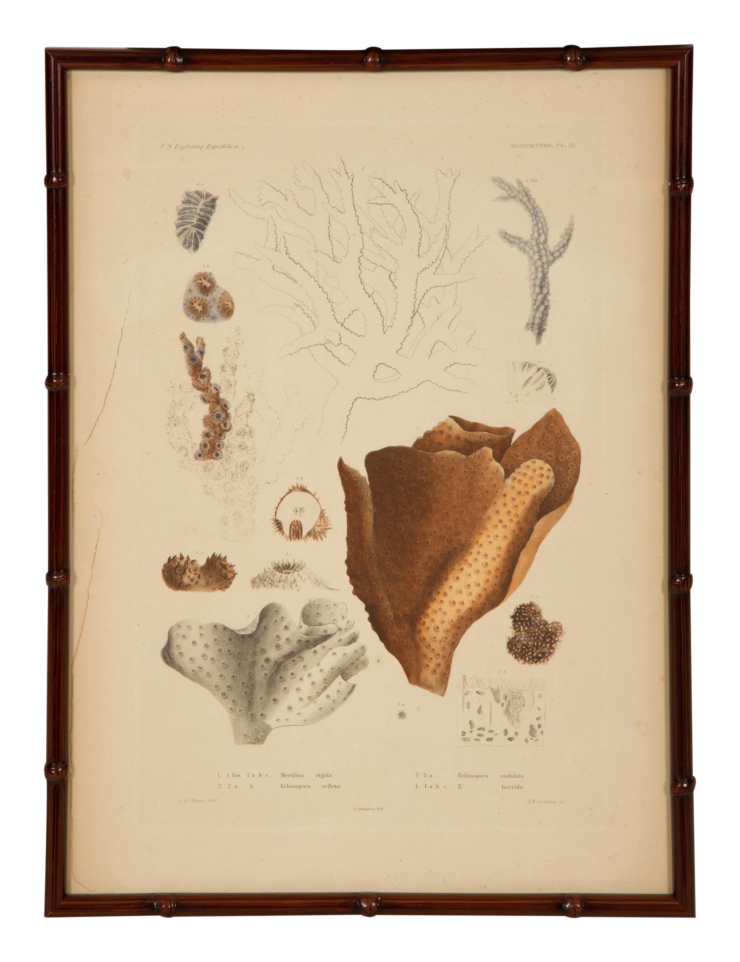 A Set of Four Framed Hand Colored Engravings
