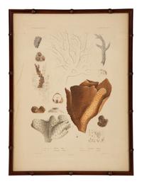A Set of Four Framed Hand Colored Engravings