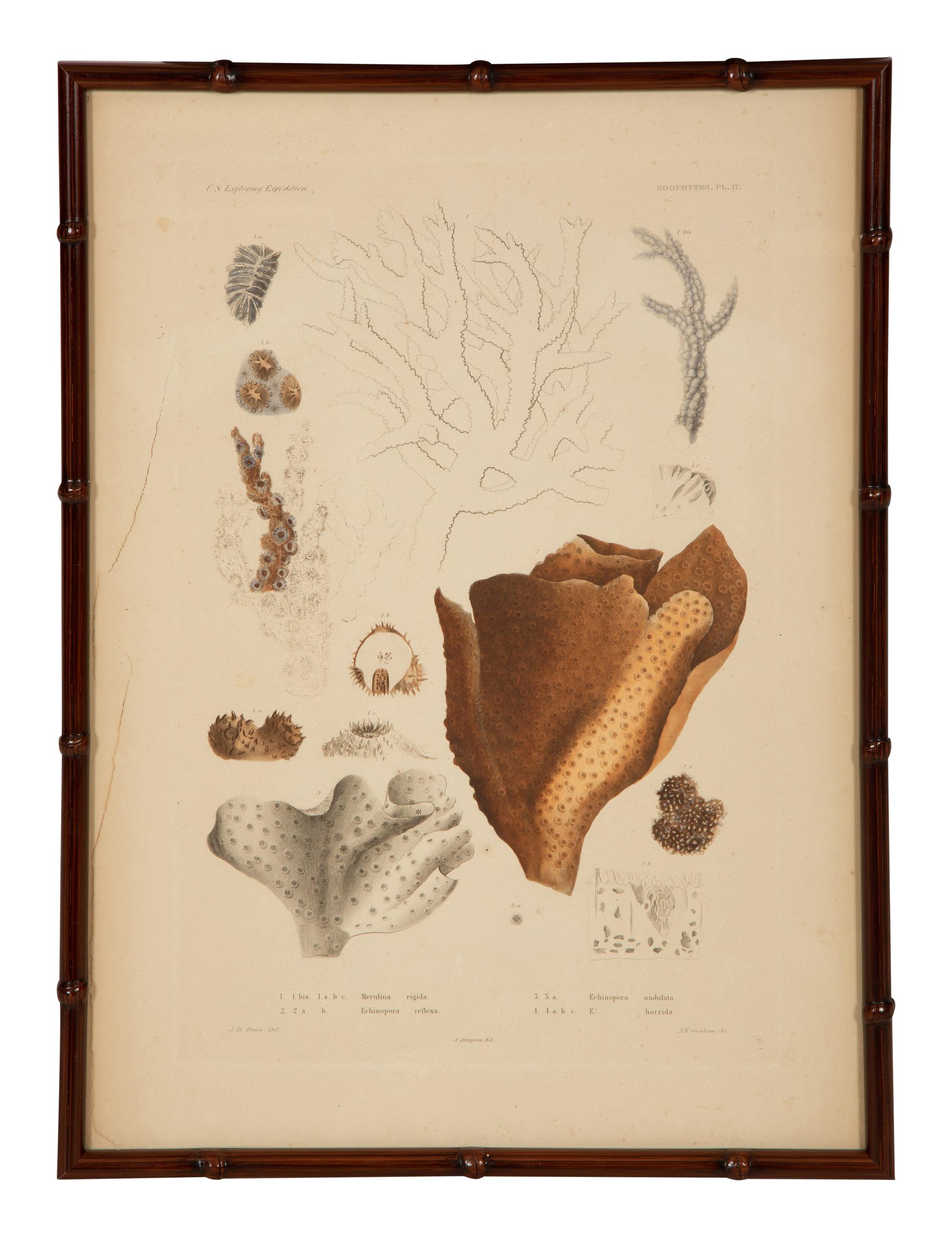 A Set of Four Framed Hand Colored Engravings