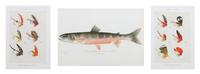 Two Framed Prints, marked Denton Fish 7 1/2 x 10 5/8, Flies: 8 x 5 3/4 inches.