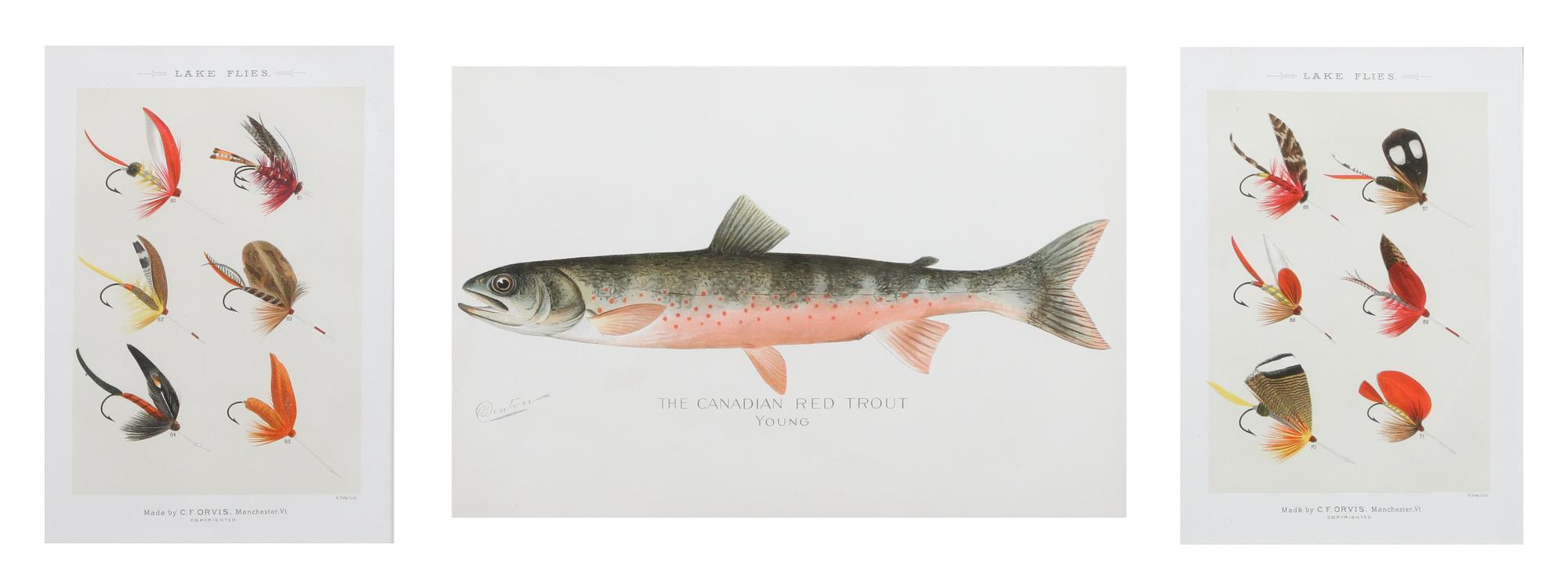 Two Framed Prints, marked Denton Fish 7 1/2 x 10 5/8, Flies: 8 x 5 3/4 inches.