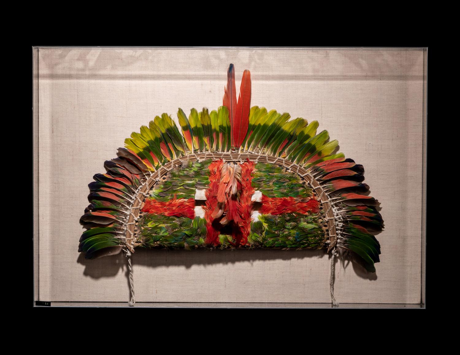 A Juruna Feather Headdress