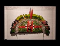 A Juruna Feather Headdress