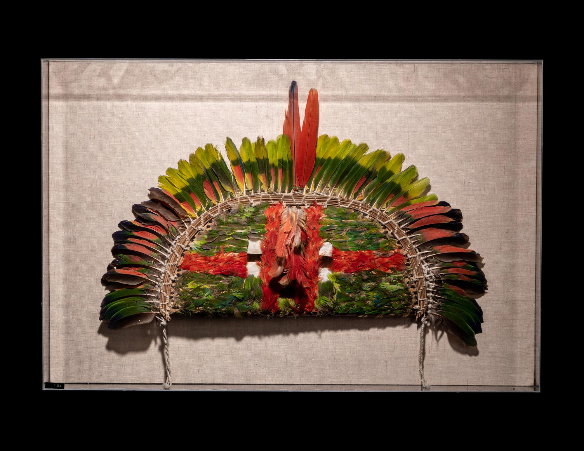 A Juruna Feather Headdress