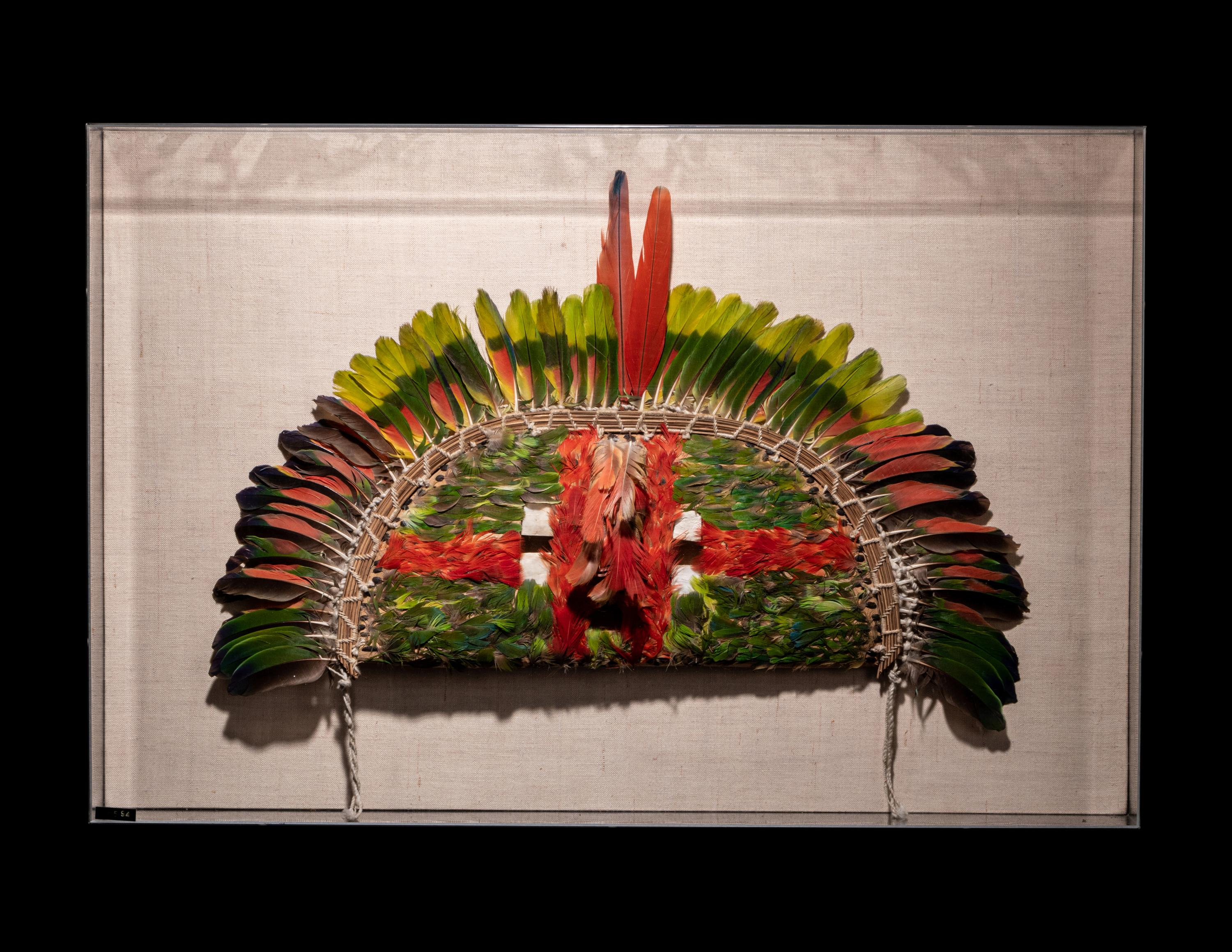 A Juruna Feather Headdress