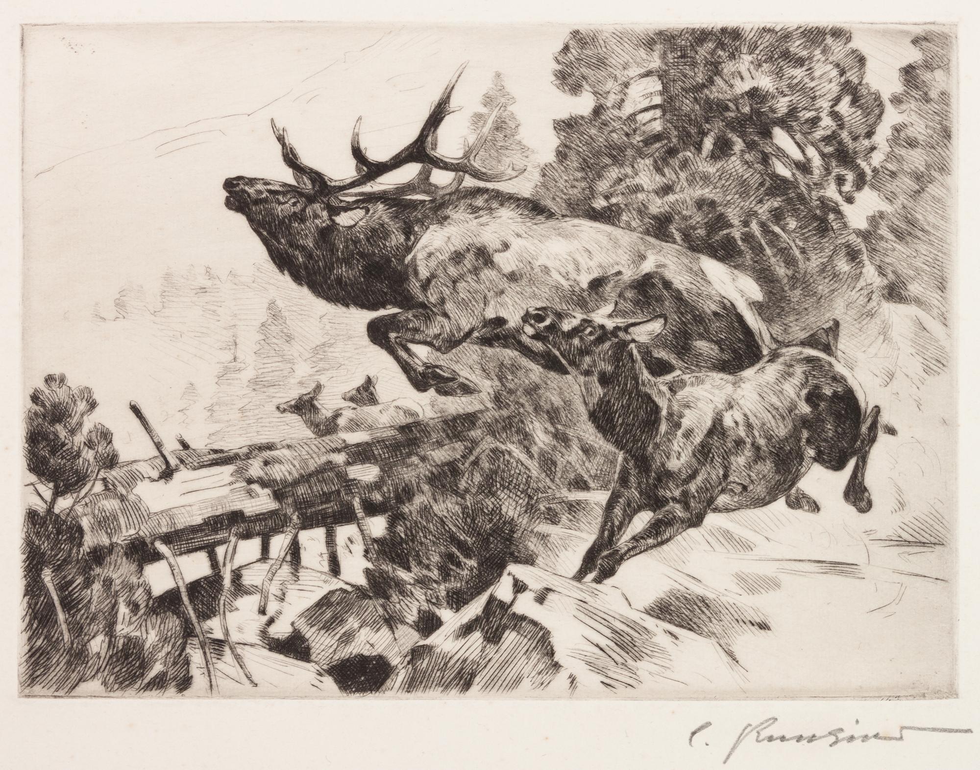 Stampede