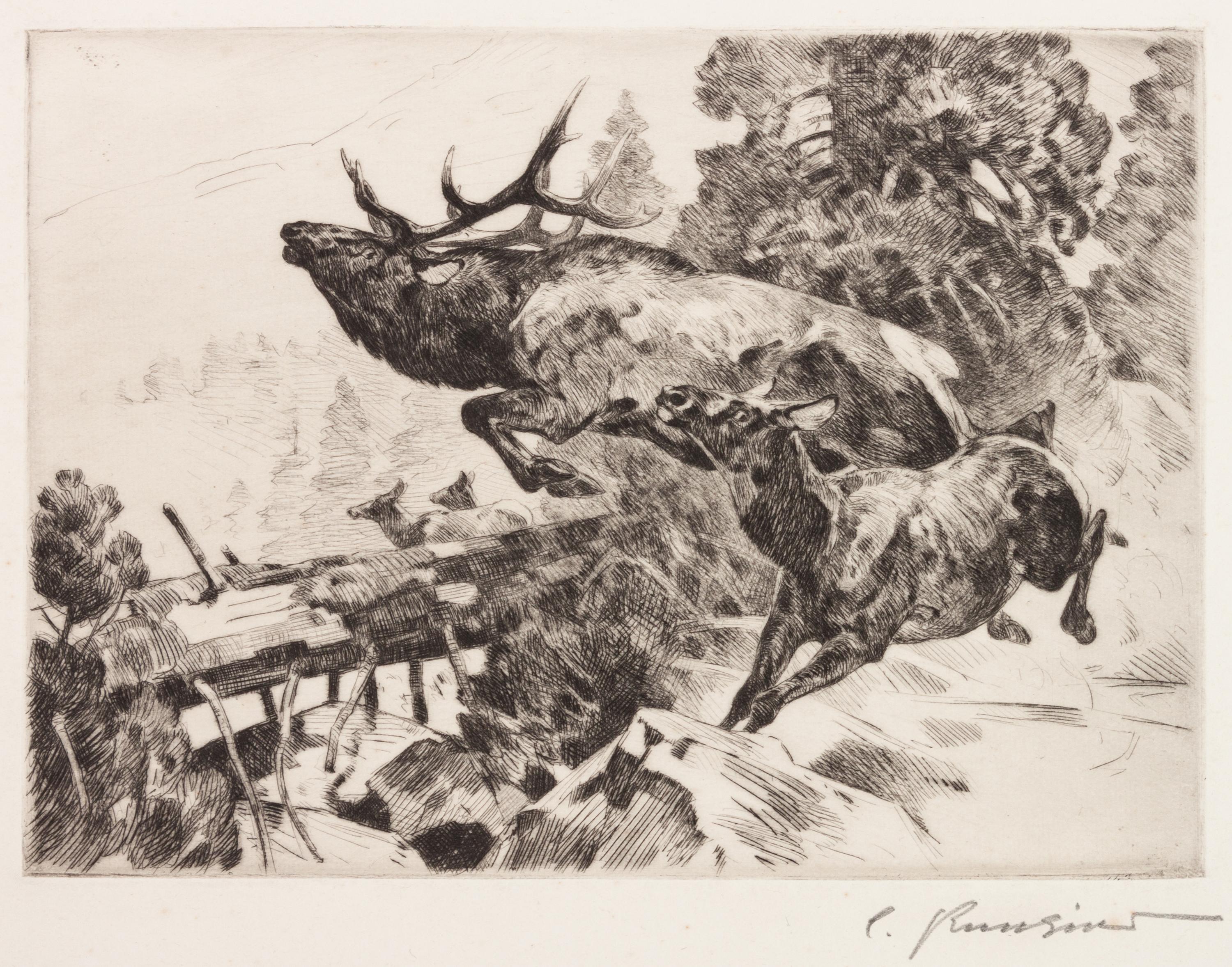Stampede