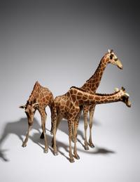 Untitled (Three Giraffes)
