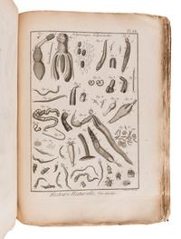 BRUGUIÈRE, Jean Guillaume (1749-1798). Tableau encyclopédique et méthodique des trois règnes de la nature. Contenant l'helminthologie, ou les vers infusoires, les vers intestins, les vers mollusques, &c . Paris: Panckoucke, 1791.