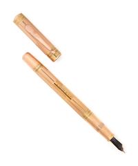 BICOLOR GOLD FOUNTAIN PEN