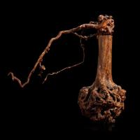 A Burl Wood Vase of "Flowers"