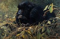 Contemplation
