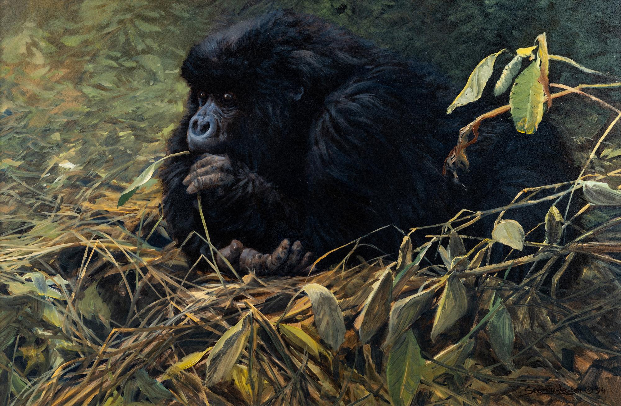 Contemplation