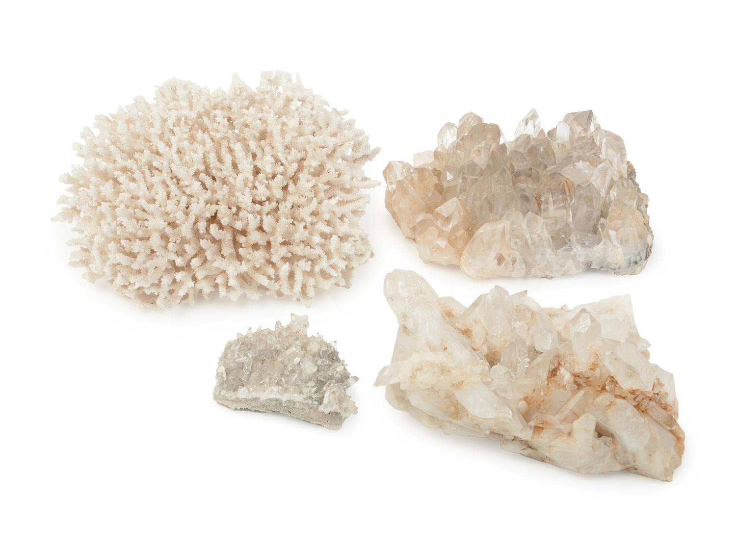 A White Coral Specimen and Three Quartz Specimens