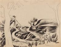 Field Study