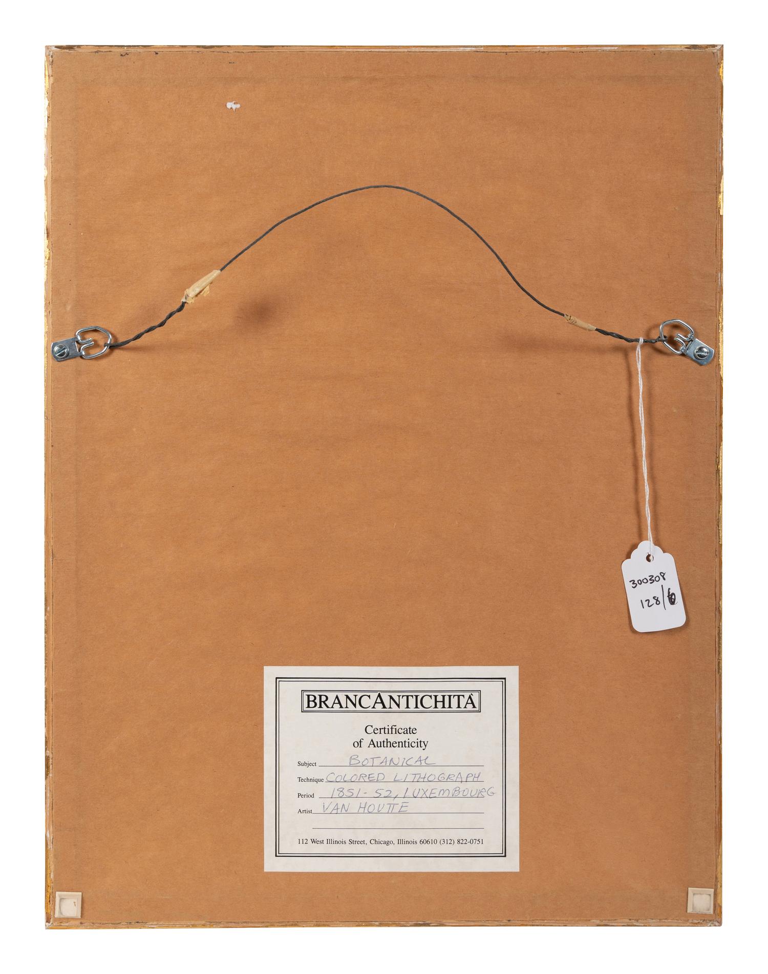 Six Hand-Colored Engravings