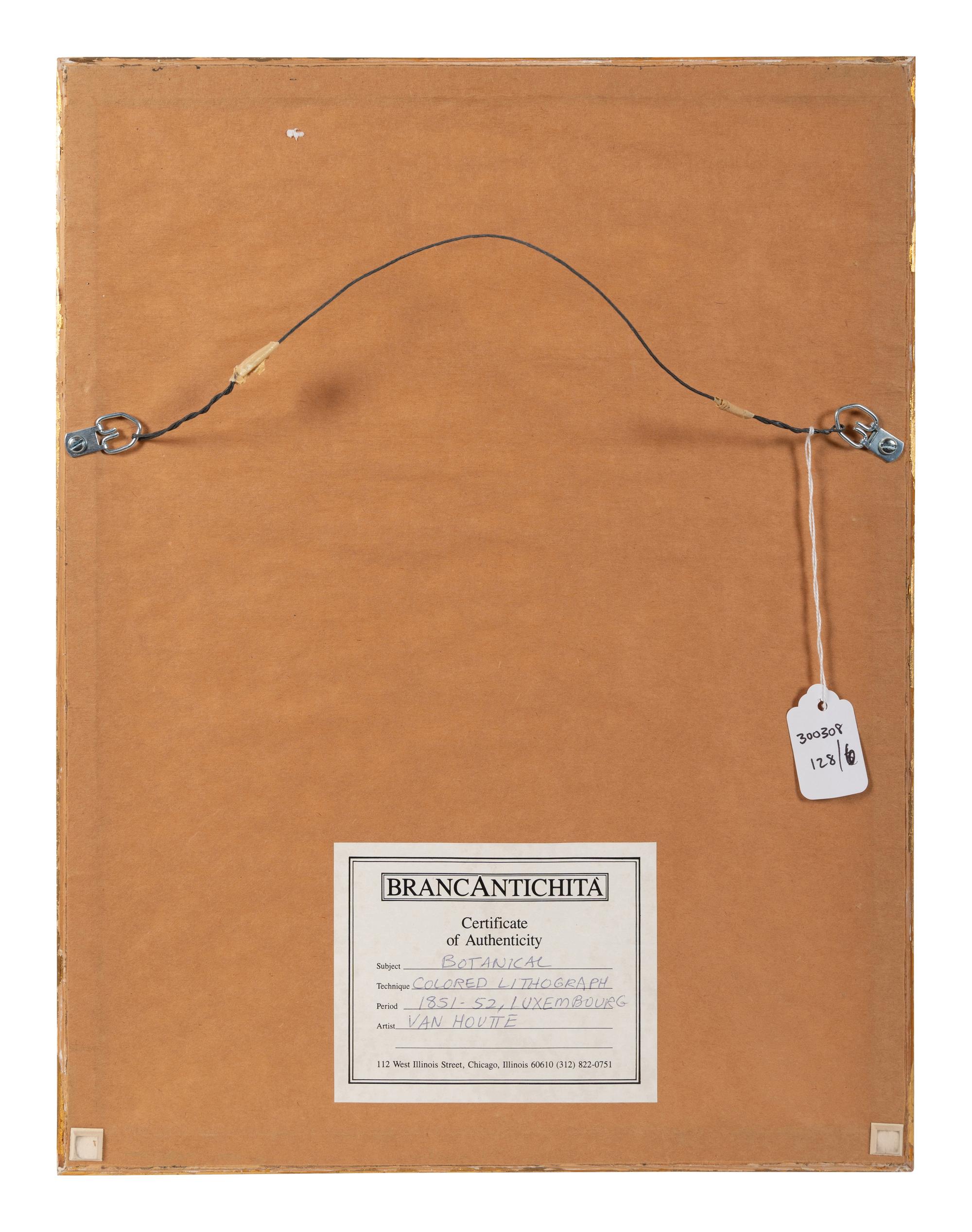 Six Hand-Colored Engravings