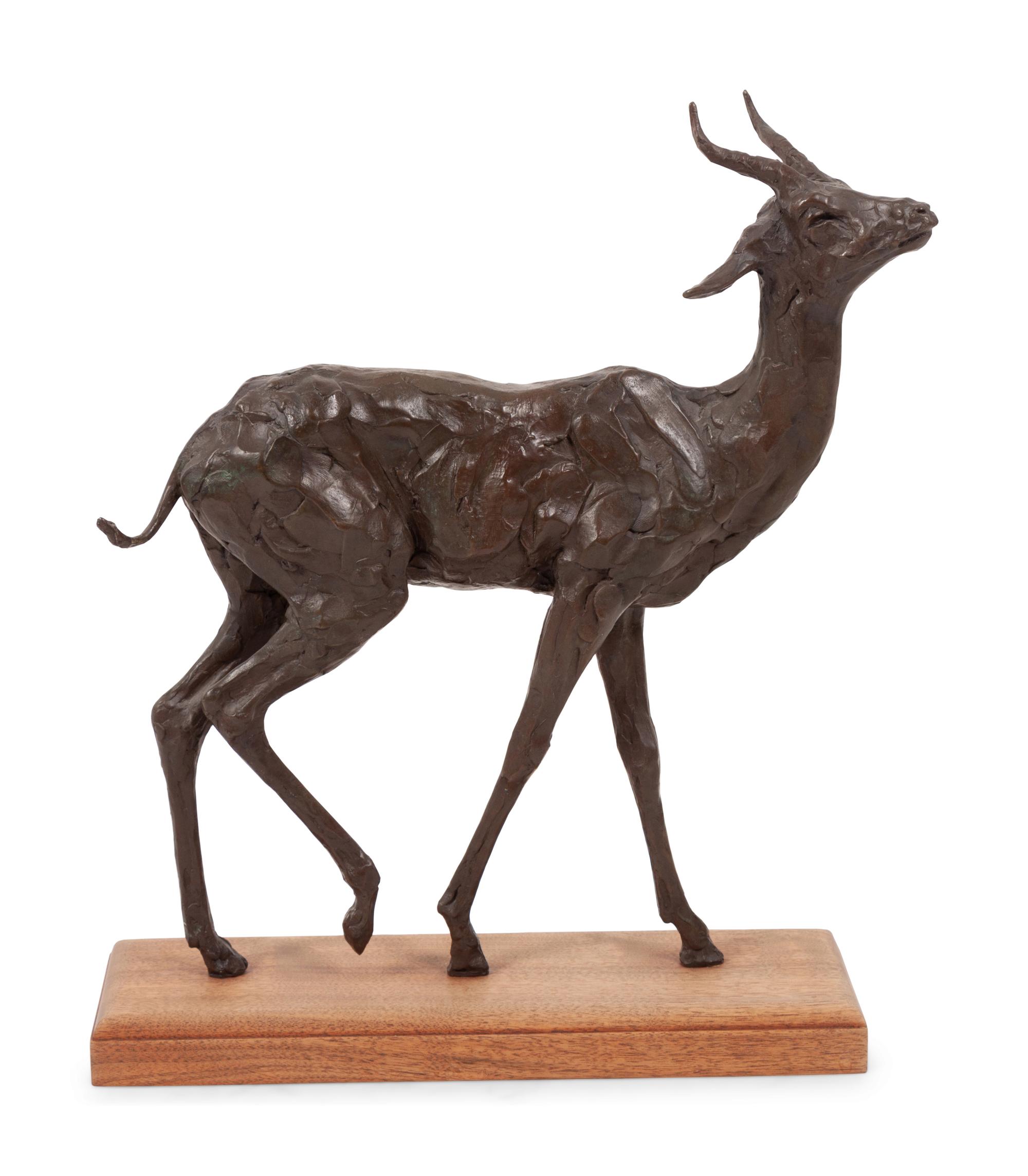 Kudu , edition of 12