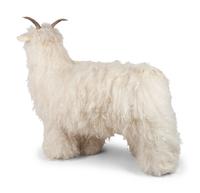 untitled, sheep