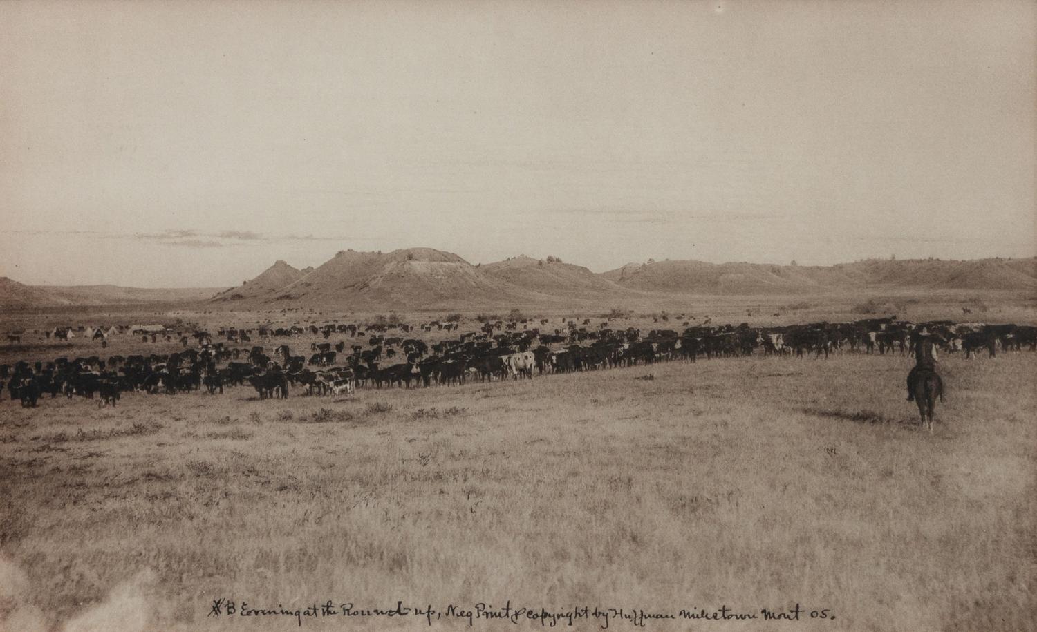 Group of Three Photographs