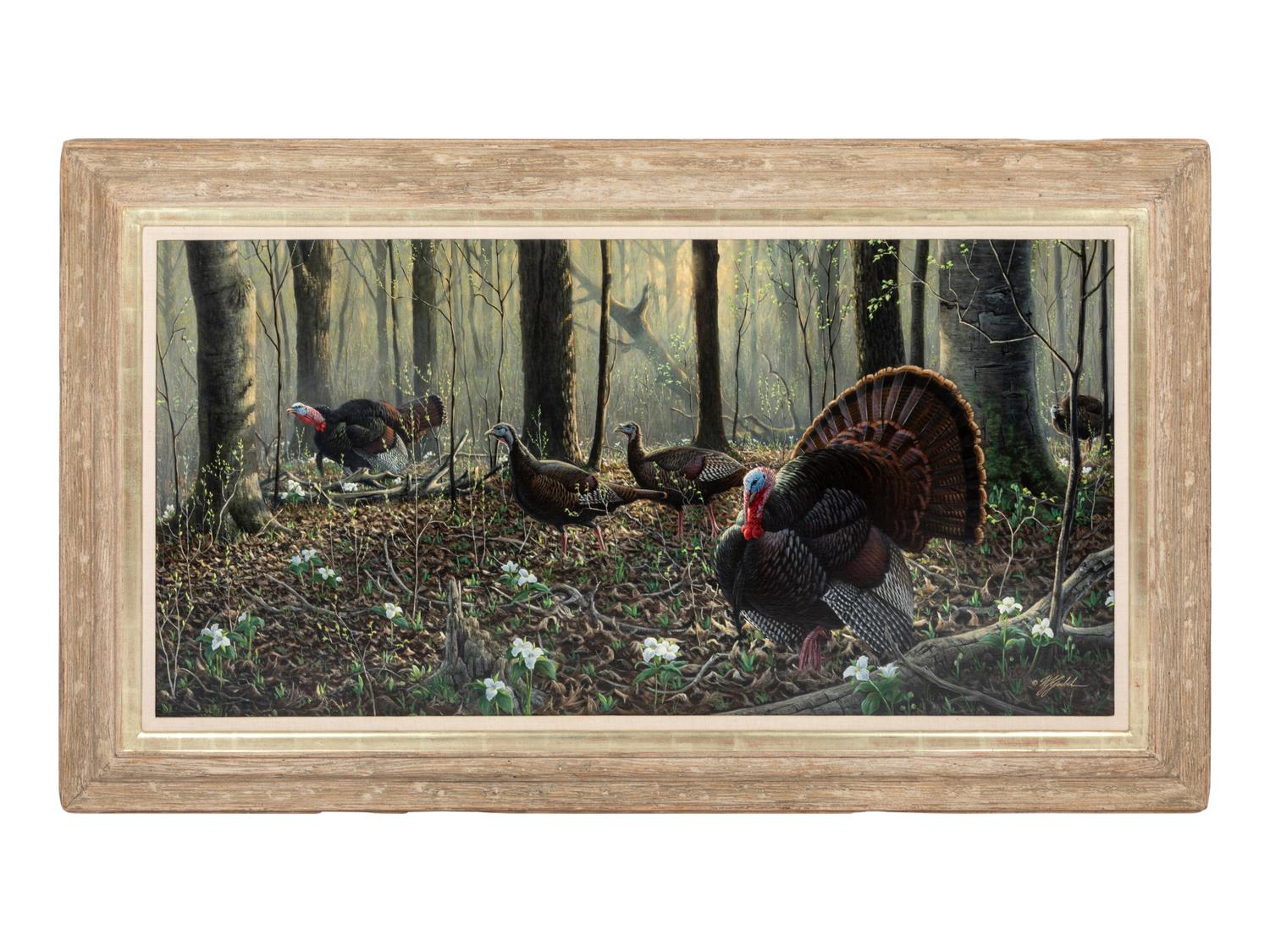 Spring, Wild Turkeys
