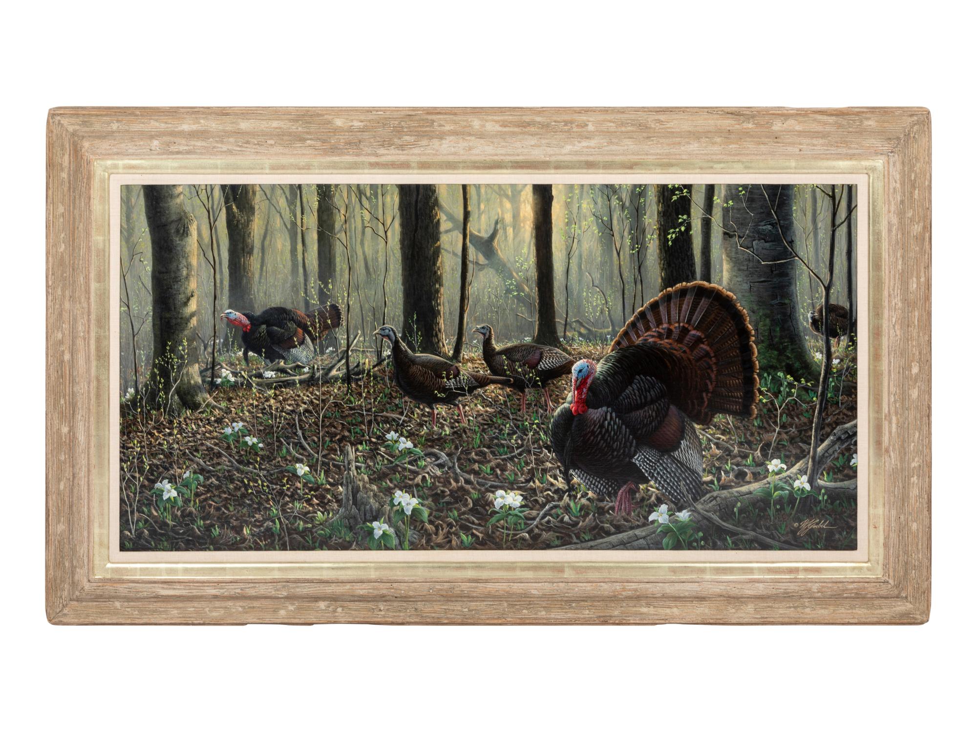 Spring, Wild Turkeys