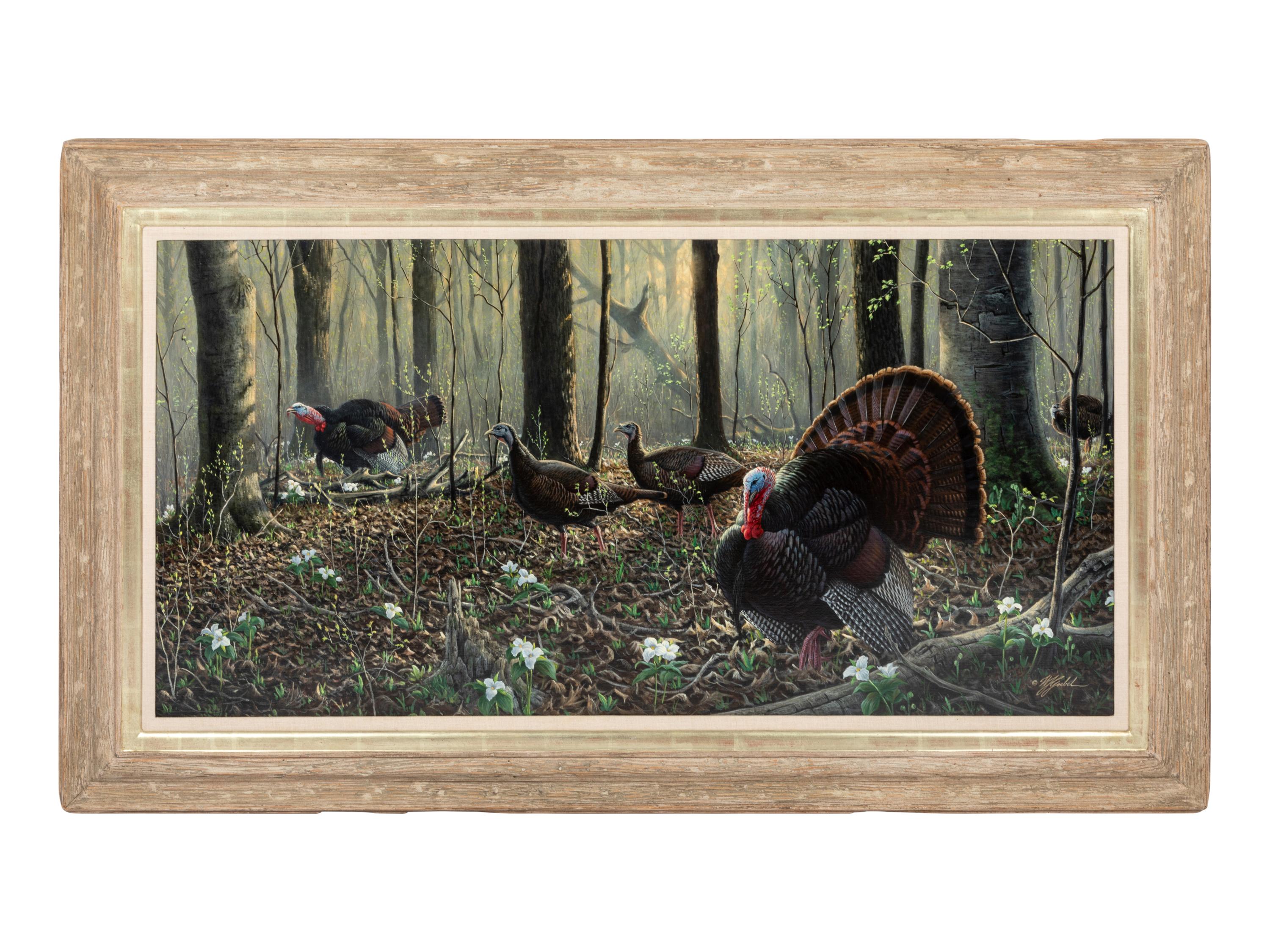 Spring, Wild Turkeys