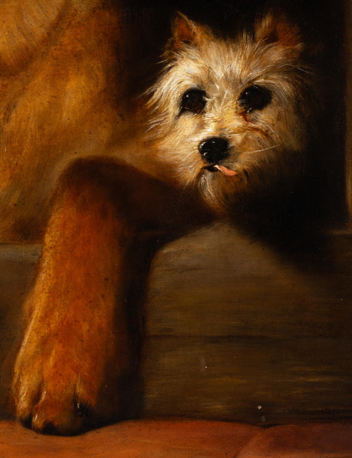Dignity and Impudence