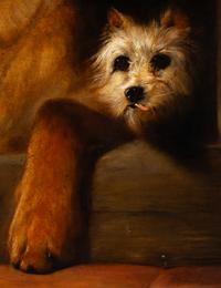 Dignity and Impudence