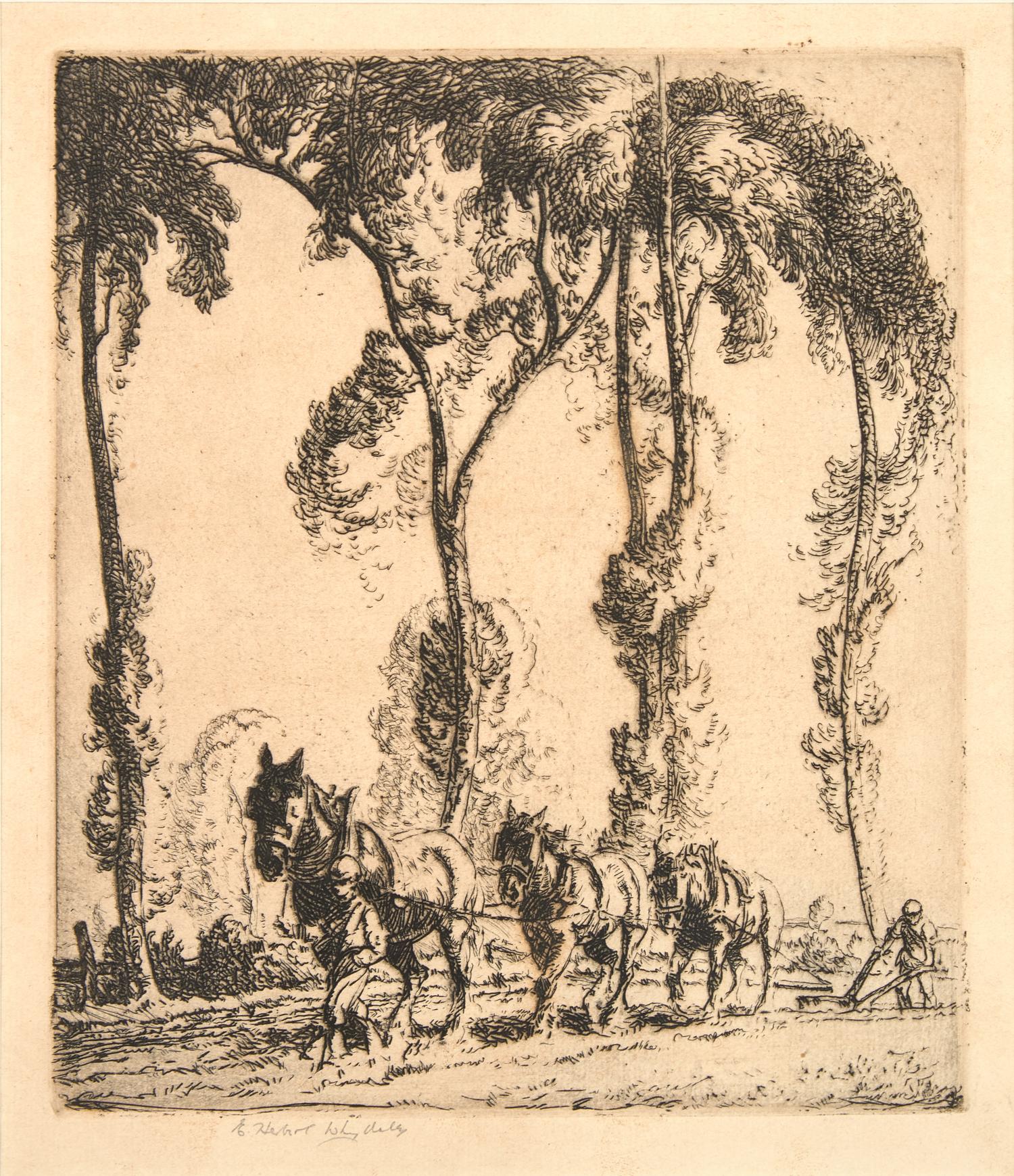 The Plough