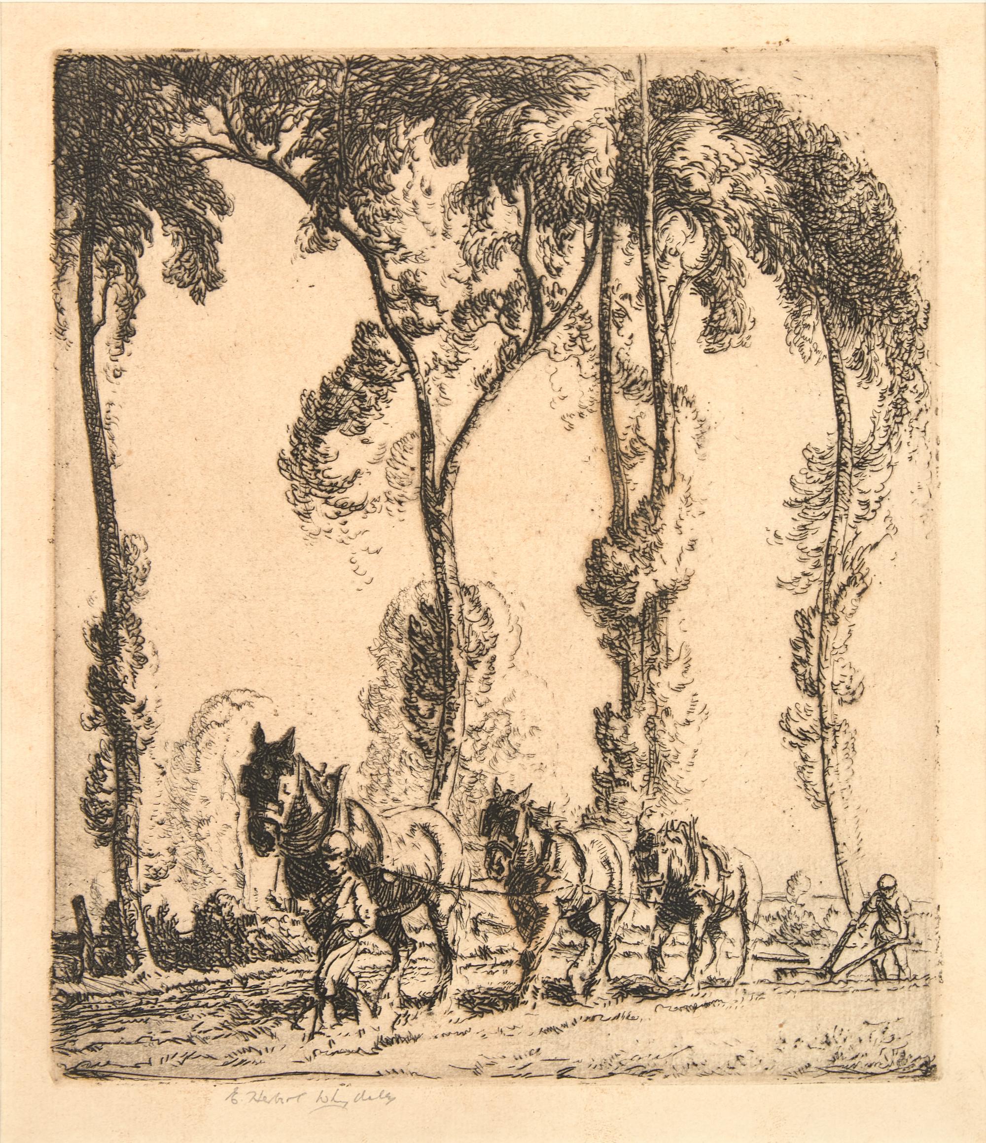 The Plough