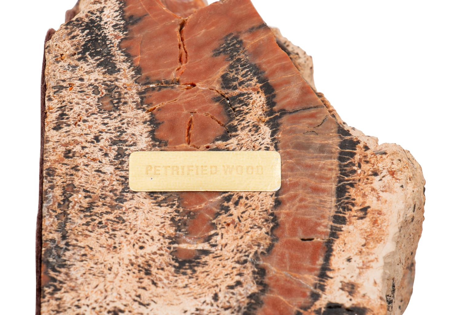 Three Pairs of Petrified Wood Bookends