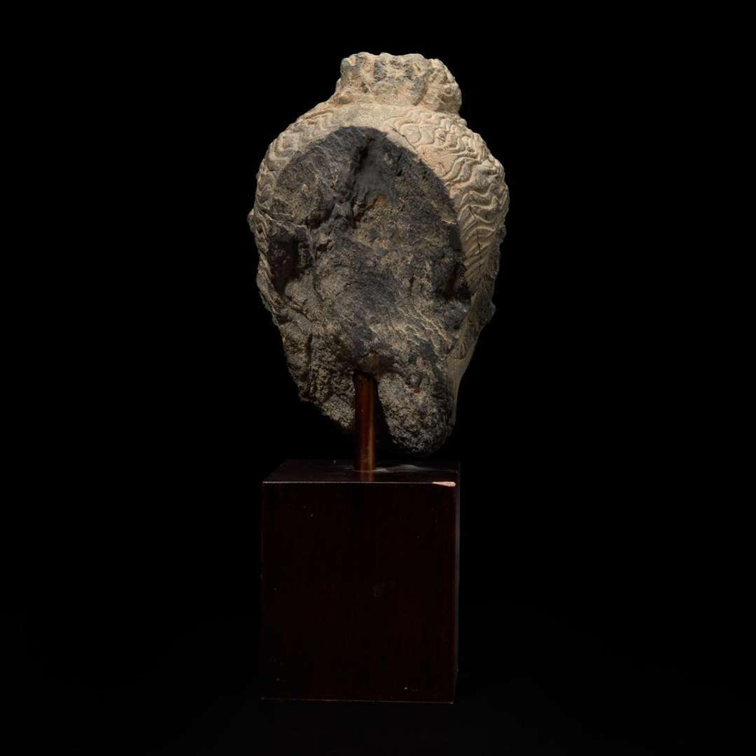 A carved schist head of a Buddha, Gandhara 健陀罗片岩佛首 3rd - 5th Century or earlier ????????