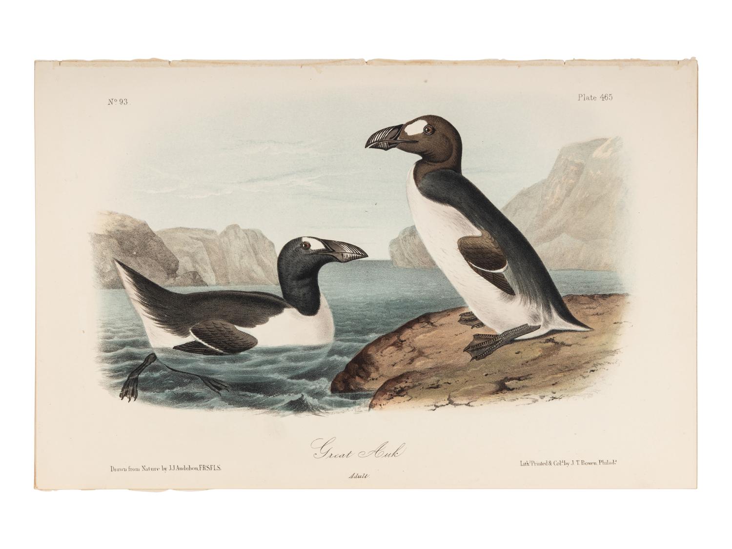 AUDUBON, John James (1785-1851), after. A group of 190 octavo-format lithographs, including: