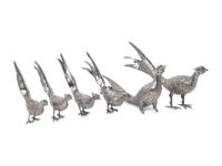A Group of Six Spanish Silver Pheasants