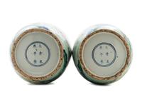 A Pair of Chinese Famille Verte Porcelain Vase