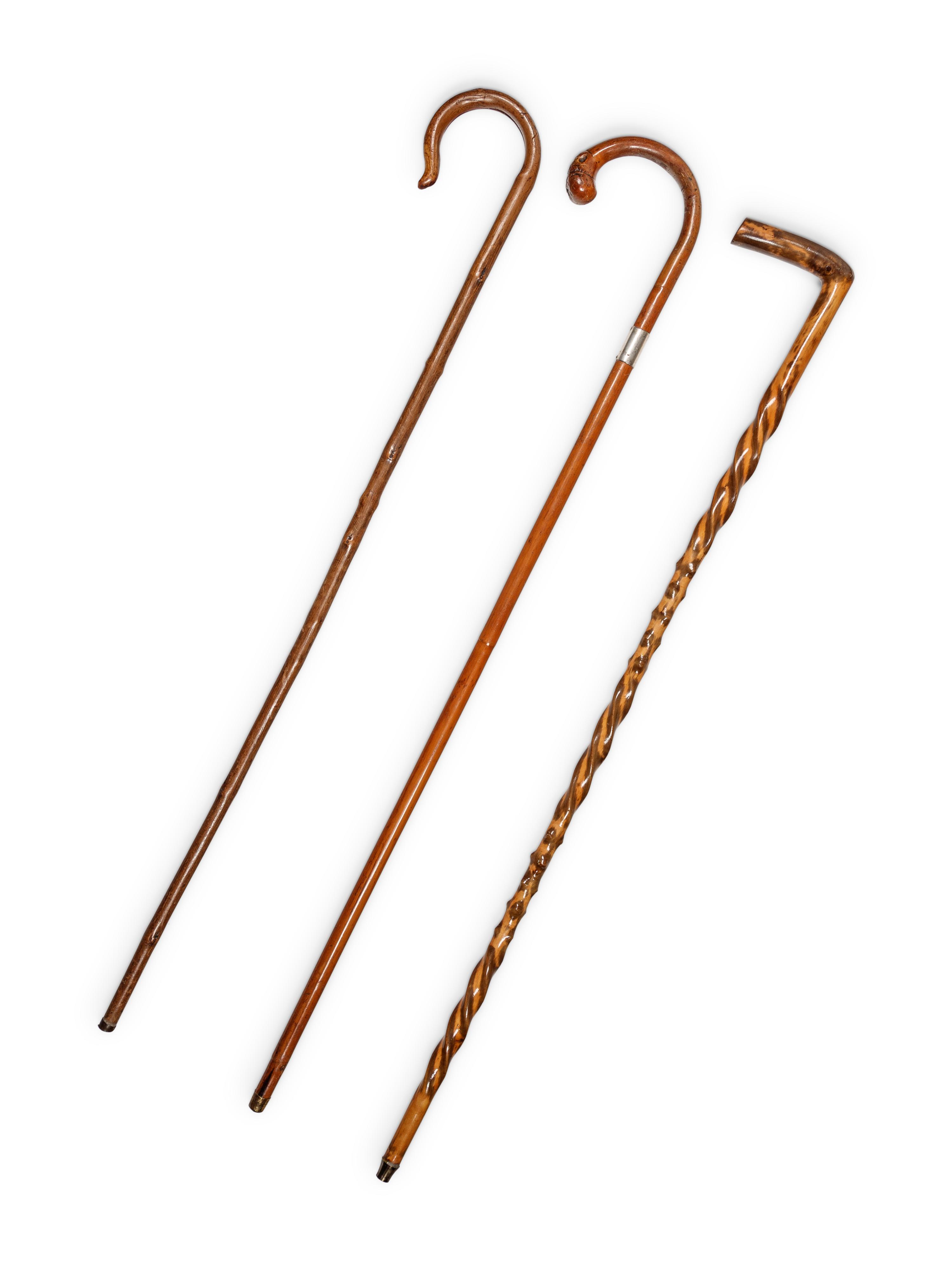 A Group of Three Walking Sticks